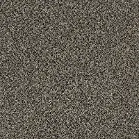 QUE.STUNNING.I.STOCK Shaw Stunning I Carpet