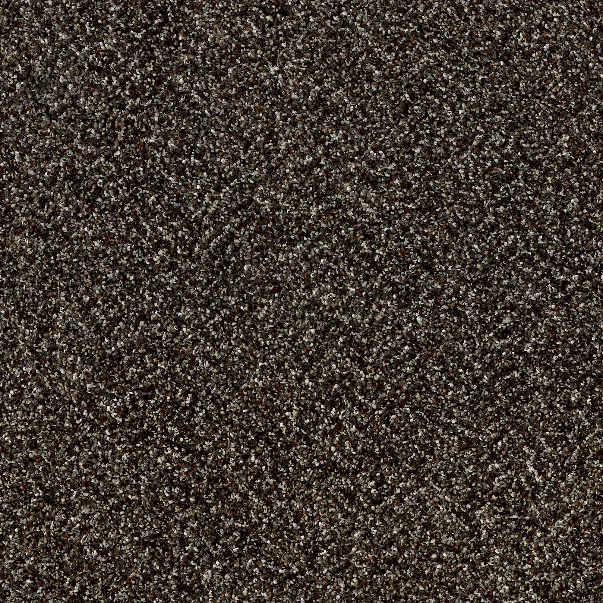 QUE.STUNNING.II.STOCK Shaw Stunning II Carpet-1