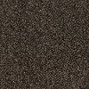 QUE.STUNNING.II.STOCK Shaw Stunning II Carpet
