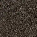 QUE.STUNNING.II.STOCK Shaw Stunning II Carpet