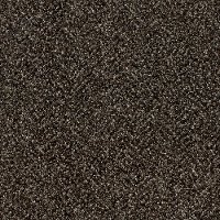 Shaw Stunning II Carpet
