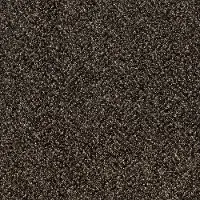 QUE.STUNNING.II.STOCK Shaw Stunning II Carpet