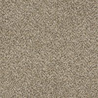 Shaw Stunning III Carpet
