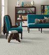 Shaw Stainmaster Brazen Carpet-2