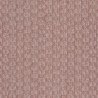 Shaw Stainmaster Happy Place Carpet