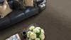 Shaw Stainmaster Happy Place Carpet-2