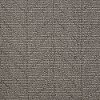 Shaw Stainmaster Santone Carpet