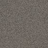 Shaw Stainmaster Amazing Tone I Carpet-1
