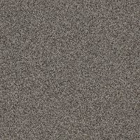 Shaw Stainmaster Amazing Tone I Carpet