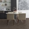 Shaw Stainmaster Amazing Tone I Carpet-2