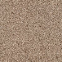 Shaw Stainmaster Amazing Tone II Carpet