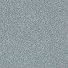 Shaw Stainmaster Subtle Look II Carpet-1