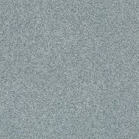 Shaw Stainmaster Subtle Look II Carpet