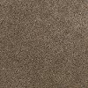 Shaw Stainmaster Timeless Tweed I Carpet