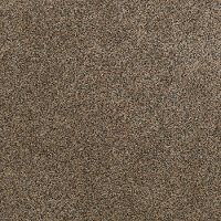 Shaw Stainmaster Timeless Tweed I Carpet