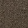 Shaw Stainmaster Timeless Tweed II Carpet-1