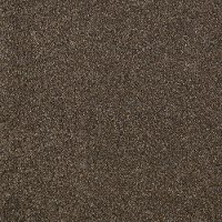 Shaw Stainmaster Timeless Tweed II Carpet