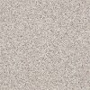 Shaw Stainmaster Vista Fleck I Carpet-1
