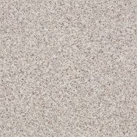 Shaw Stainmaster Vista Fleck I Carpet