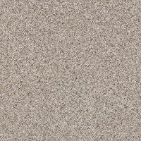 Shaw Stainmaster Vista Fleck II Carpet