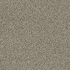 PHL.SARSENET.CLASSIC.II Shaw Sarsenet Classic II Carpet