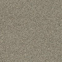 Shaw Sarsenet Classic II Carpet