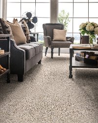 PHL.SARSENET.CLASSIC.II Shaw Sarsenet Classic II Carpet-2