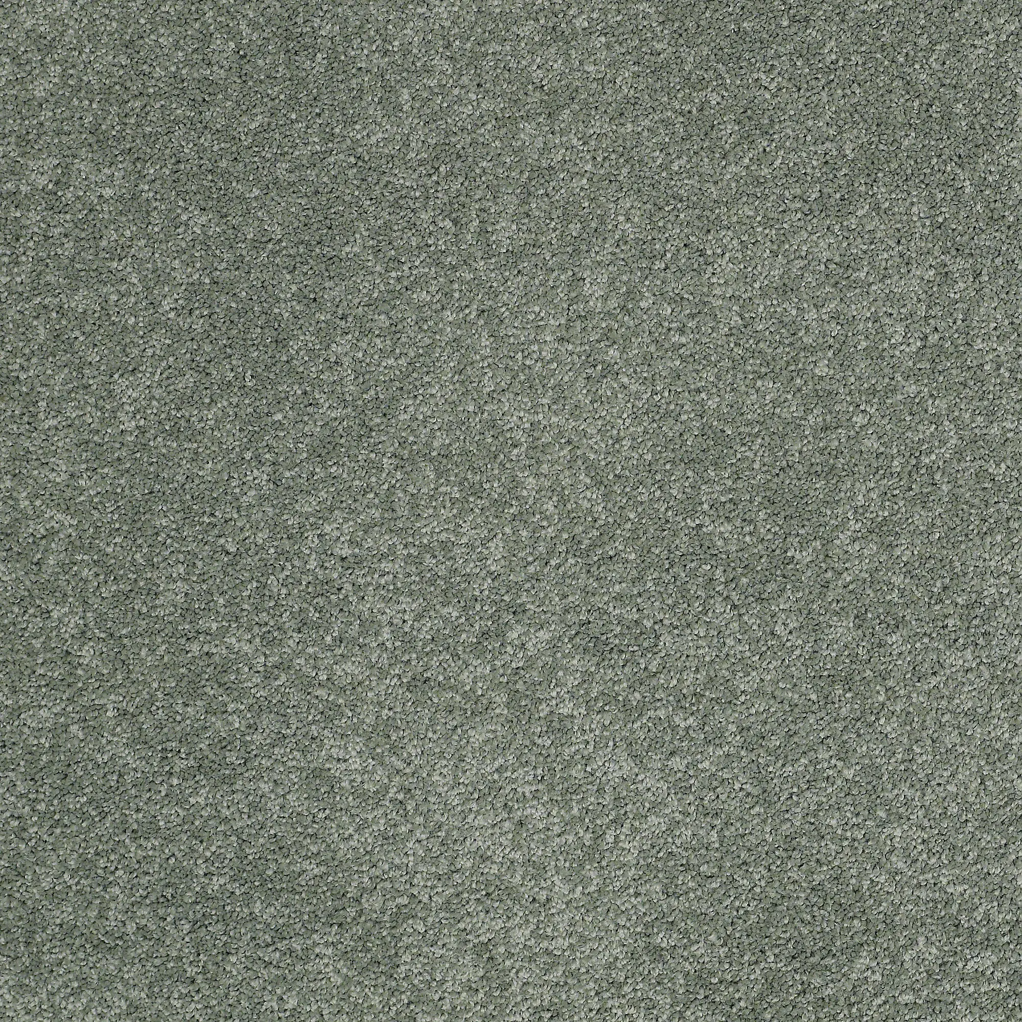 PHL.BARRACAN.CLASSIC.I Shaw Barracan Classic I Carpet-1