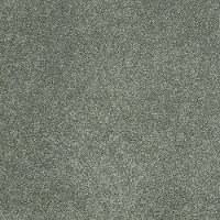 Shaw Barracan Classic I Carpet