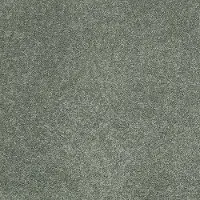 PHL.BARRACAN.CLASSIC.I Shaw Barracan Classic I Carpet