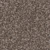 PHN.ENTHRALLED.STOCK Phenix Stainmaster Enthralled Carpet