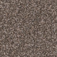 PHN.ENTHRALLED.STOCK Phenix Stainmaster Enthralled Carpet