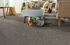 Phenix Stainmaster Enthralled Carpet-2