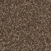 PHN.AWESTRUCK.STOCK Phenix Stainmaster Awestruck Carpet