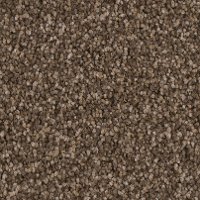 PHN.AWESTRUCK.STOCK Phenix Stainmaster Awestruck Carpet