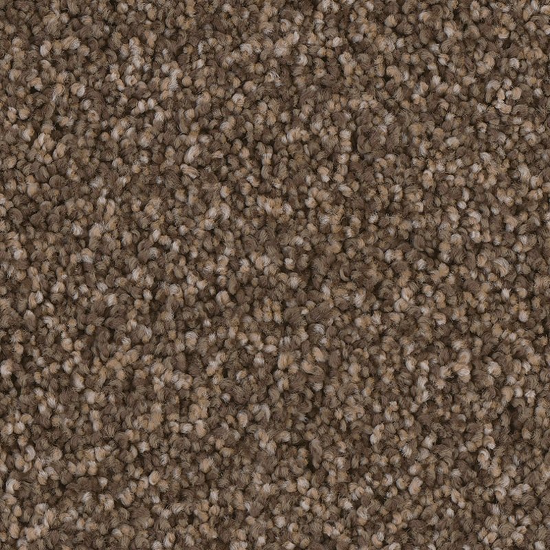 stainmaster carpet