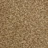 BRE.CAREFREE.STOCK Dixie Stainmaster Carefree Carpet