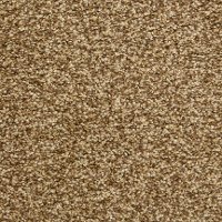 BRE.CAREFREE.STOCK Dixie Stainmaster Carefree Carpet