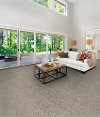 Dixie Stainmaster Carefree Carpet-2