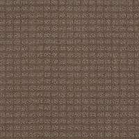Tuftex Stainmaster Urban Alley Carpet