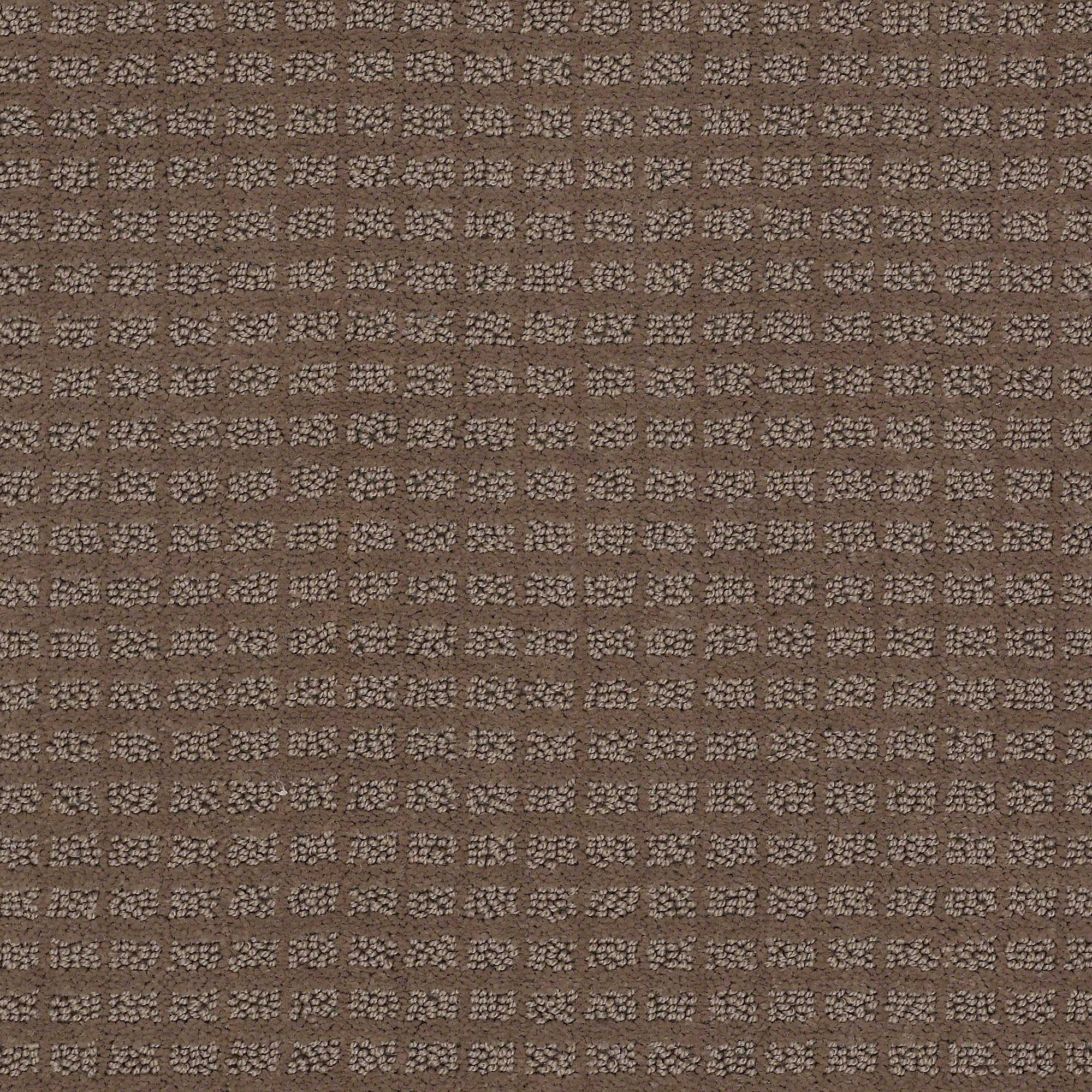 DSW.URBAN.ALLEY Tuftex Urban Alley Carpet-1
