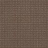 DSW.URBAN.ALLEY Tuftex Urban Alley Carpet