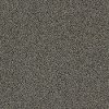 Tuftex Stainmaster It's A Wrap II Carpet