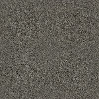 Tuftex Stainmaster It's A Wrap II Carpet