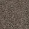 DSW.ALWAYS.DEAR.II Tuftex Always Dear II Carpet