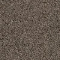 Tuftex Always Dear II Carpet