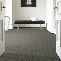 DSW.ALWAYS.DEAR.II Tuftex Always Dear II Carpet-2