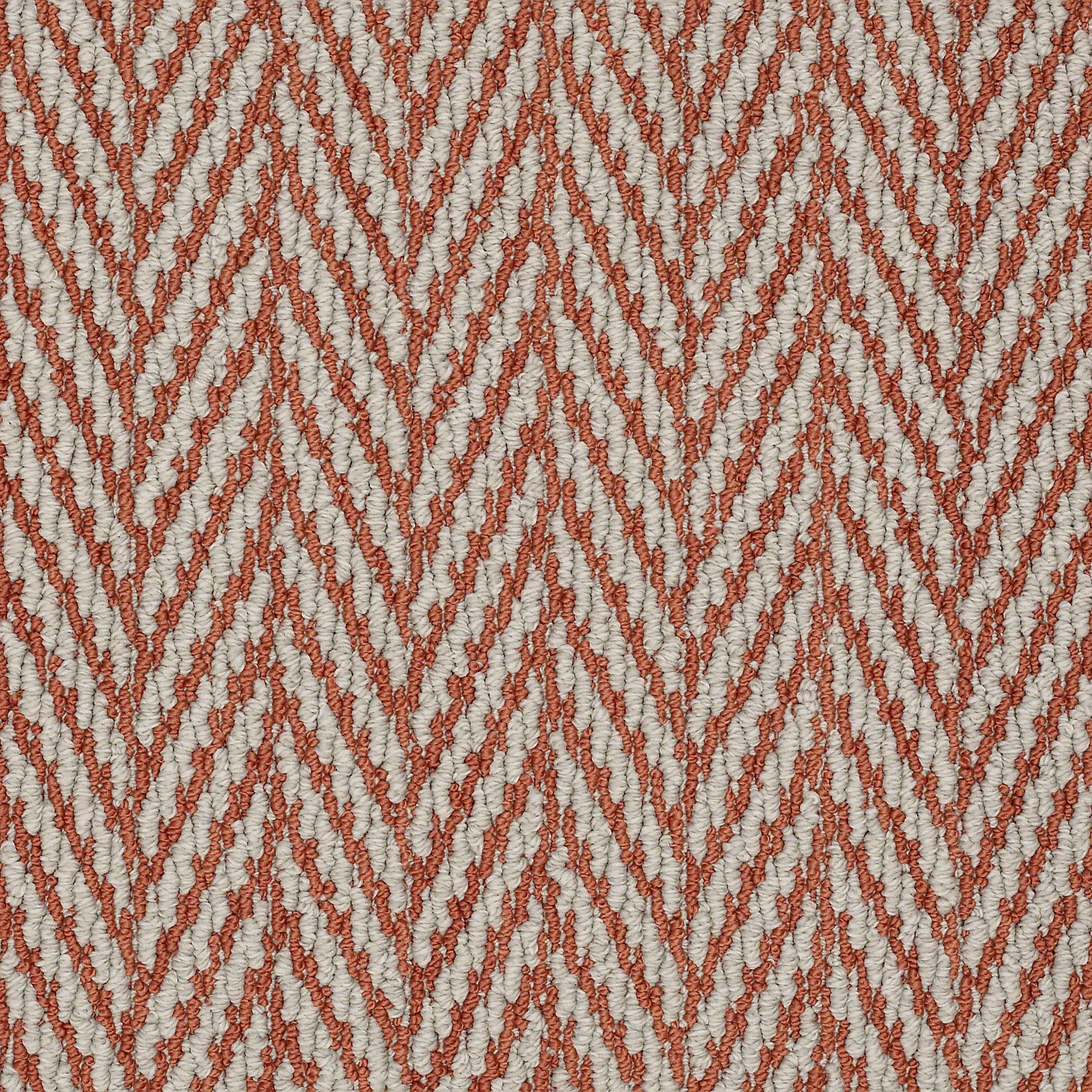 DSW.ECHO.BEACH.II Tuftex Private Eyes II Carpet-1