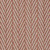 DSW.ECHO.BEACH.II Tuftex Stainmaster Private Eyes II Carpet