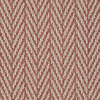 Tuftex Stainmaster Private Eyes II Carpet